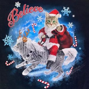 Cat Christmas Shirt “Believe” 🐈🐈